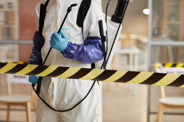 Professional Hoarding Cleanup technician working in McLean, TX