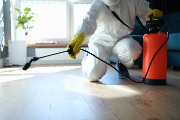 Reliable Hoarding Cleanup contractor in McLean, TX by Dulley Family Biohazard Services